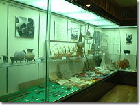 floor1-1.jpg