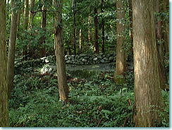 仏坂の周参見側にある地主神社