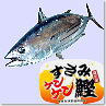 町の魚　カツオ（鰹）