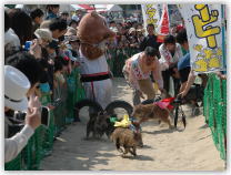 イノブタダービーとなんでも朝市